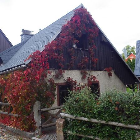 Ferienhaus Frieda Altenberg المظهر الخارجي الصورة