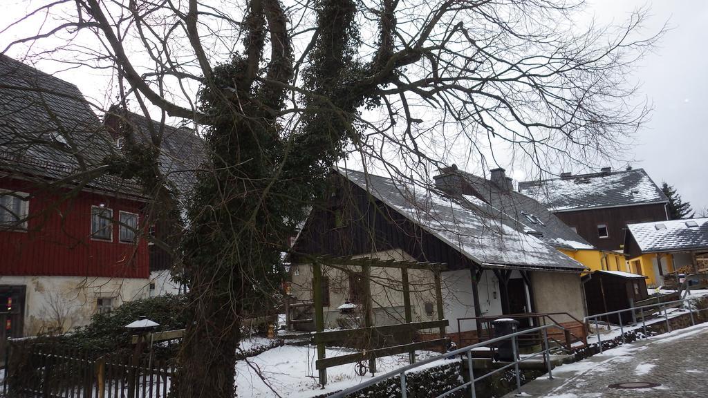 Ferienhaus Frieda Altenberg المظهر الخارجي الصورة